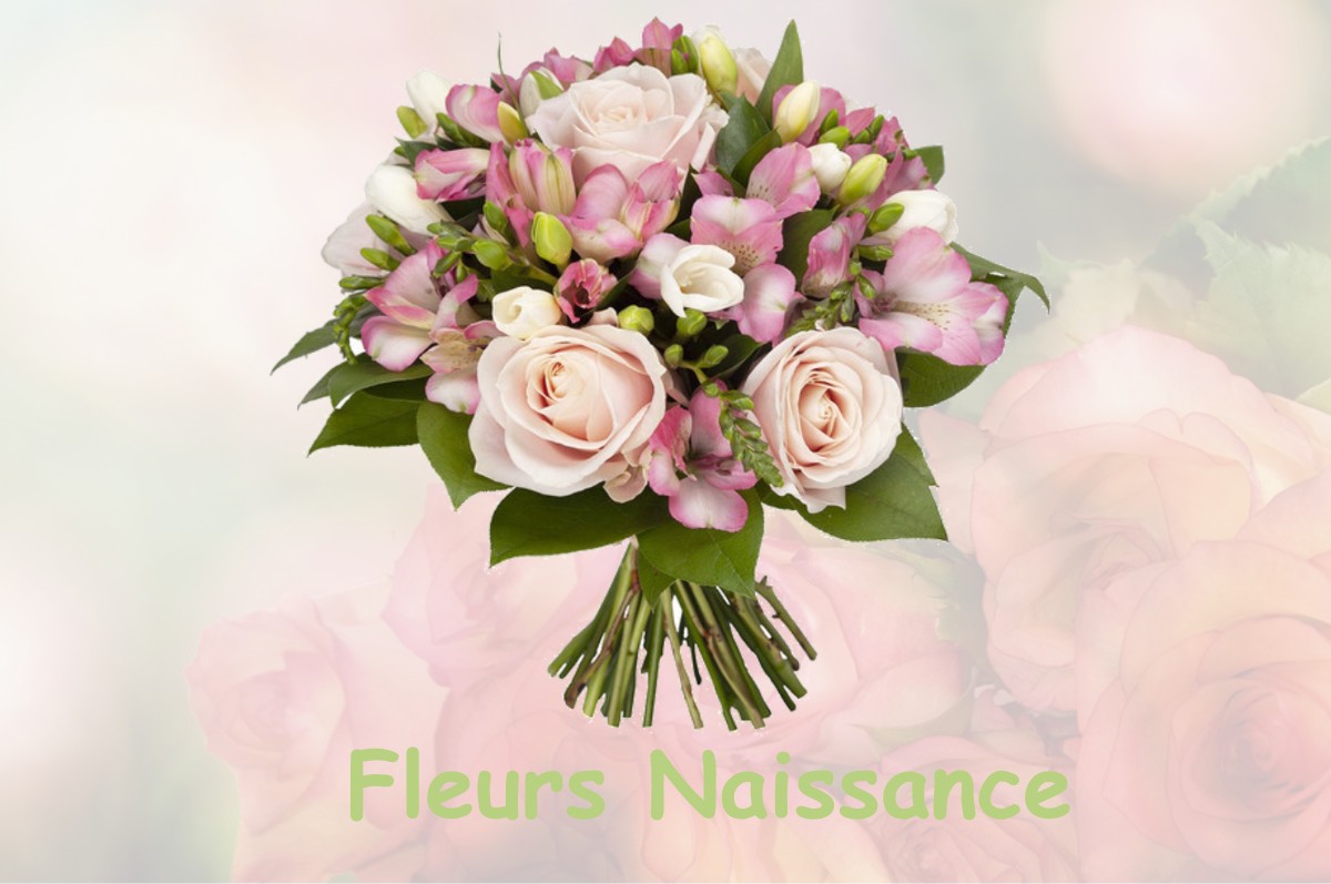 fleurs naissance LE-PLESSIS-PATTE-D-OIE