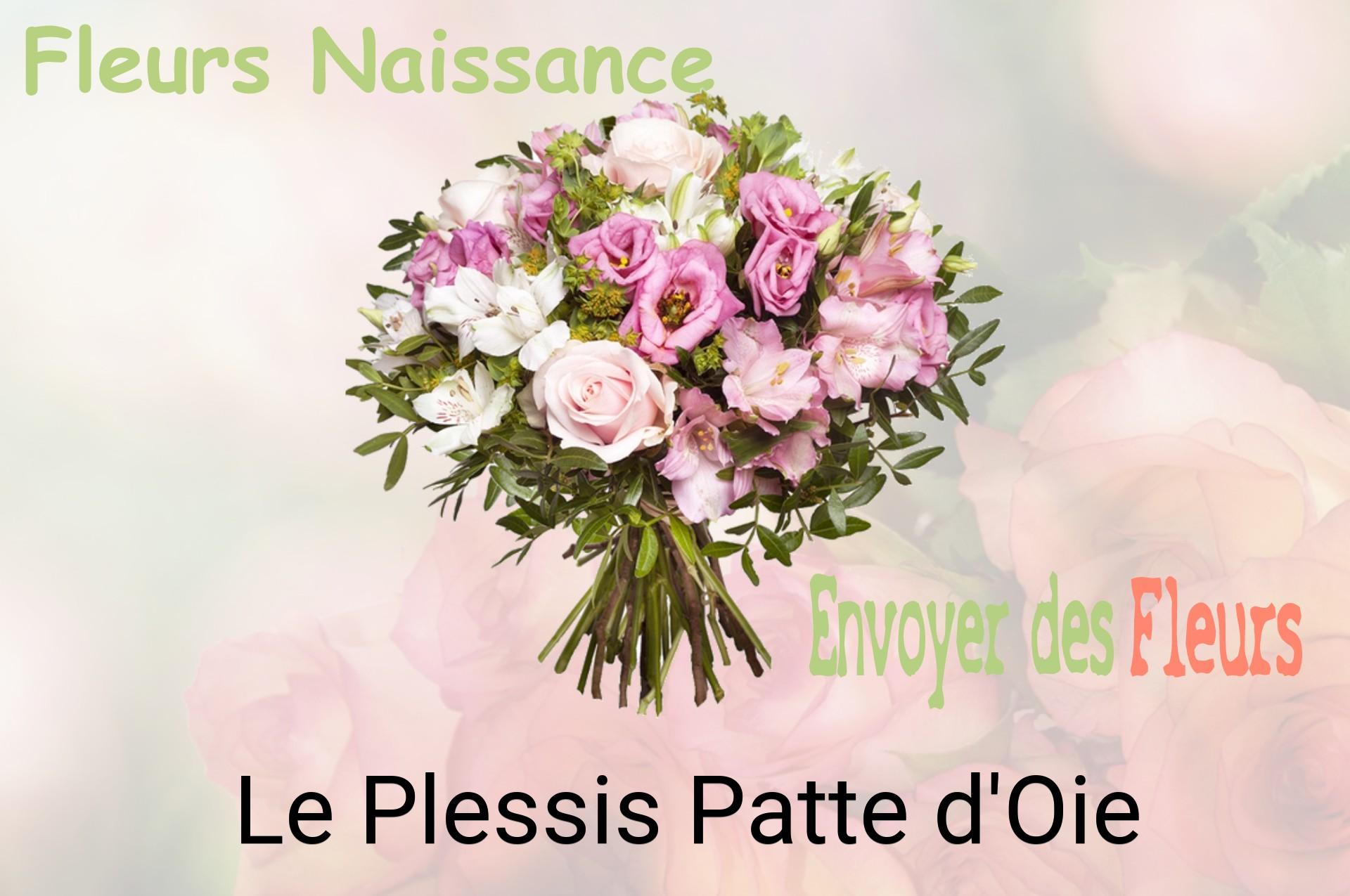 Bouquet de fleurs de naissance livré à Le Plessis-Patte-d'Oie