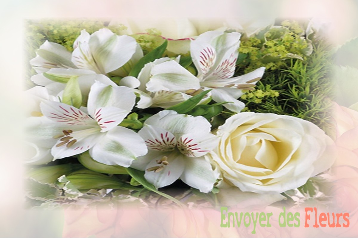 envoyer des fleurs à à LE-PLESSIS-PATTE-D-OIE