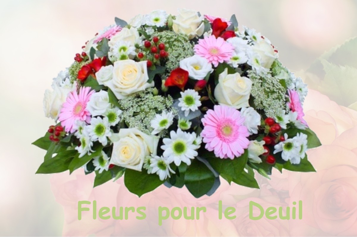 fleurs deuil LE-PLESSIS-PATTE-D-OIE