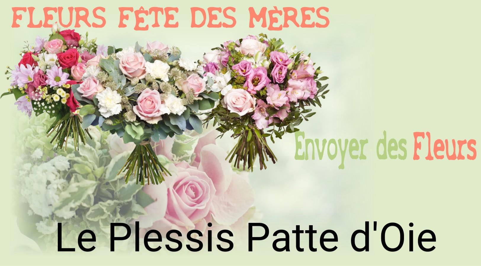 Bouquet de Fête des Mères livré à Le Plessis-Patte-d'Oie