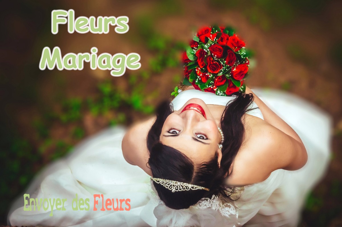 lIVRAISON FLEURS MARIAGE à LE-PLESSIS-PATTE-D-OIE