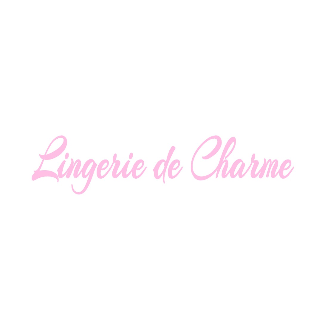 LINGERIE DE CHARME LE-PLESSIS-PATTE-D-OIE